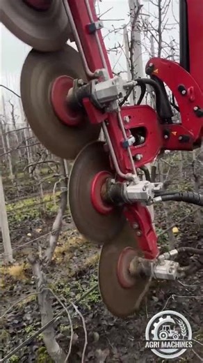 Orchard Pruner ID DAVID V1 Saw in Action || Pruning Season 2025 in Spain || #orchard #pruning
