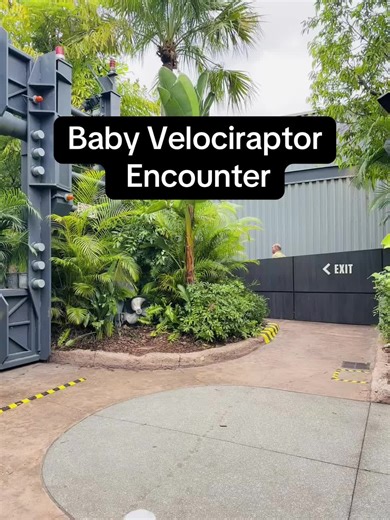 Comments on my past video, crack me up 🤣 No it is not AI and yes it is not a real dinosaurs 🦖 🥲 but nonetheless its amazing experience the whole family will enjoy! Thank you Universal Studios for having encounters like these available and bringing Jurrasic Park to Life! Truly Amazing 🤩 @Universal Orlando Resort @Universal Studios Orlando FL🌎 #babydino #jurrasicpark #dinasour #themeparks