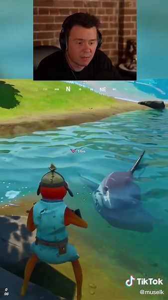 Vegetarian Shark in Fortnite | Funny Fortnite Clips