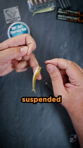 Savage Gear on Instagram: "🎣 Drop Shot Made Easy Did you know how simple it is to rig a drop shot setup? ✨ What you’ll need: 🟠Soft bait (I’m using the Dying Minnow) 🟠Size 8 hook 🟠3.5g drop shot weight 🟠Fluorocarbon line 🟠Scissors ✂️ ⚡ Step-by-step: 1️⃣ Cut 100–150 cm of fluorocarbon. 2️⃣ Thread the line through the hook eye and form a loop. 3️⃣ Twist the hook through the loop 3 times and tighten — the hook should stand upright. 4️⃣ Tie an overhand knot at the end of the line and attach the