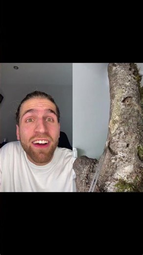 QUÉ?! 💀😱​​ Vídeos Largos En Mi Canal Principal @VALMASEDA ❤️