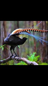 5.3M views · 206K reactions | Don't follow me for this!!! Read below....