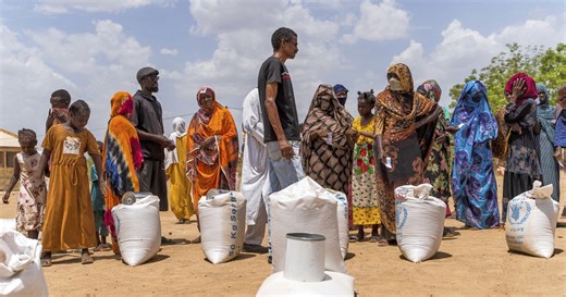 Driven to starvation, Sudanese eat weeds and plants to survive | Africanews
