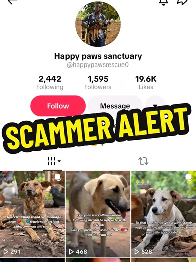 🚨SCAMMER ALERT🚨 ⚠️Claims to need financial aid to care for stray animals ⚠️Intentionally starves and severely injurs them for donations To look out for: •No location included •Not requesting fosters/adopters •Asking for money and nothing else •Follows vegan pages/joins groups to add followers and prey on their sympathy •Tags acquired followers in posts to make theirself seem legitimate •Pretends to be vegan to show good intentions •Fake names •Manipulates people from different countries into s