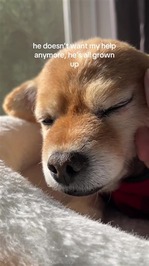 off to the nursing home next #grown #up #fast #gramps #myoldman