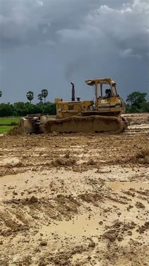 HUGE Tree vs MASSIVE D51 Bulldozer who Comes Out to Top?