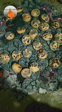 🍅🍅🍅🍅Litti Chokha Recipe #littichokha #recipe #food #india #cooking #shorts #trendingshorts #viral