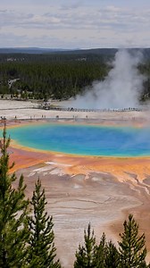 Grand Prismatic in Yellowstone. I took this video from the overlook trail, which climbs 105 feet over 0.6 miles from the Fairy Falls Trailhead. Filmed around 11am and the colors were super vibrant! #yellowstone #BeautifulDestinations #wyoming #usa #travelphotography #fypシ #reelsfacebook #nationalpark | Colorado Wild Photography