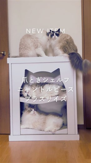 【大型猫必見】プラスサイズのニャントルピース【インテリア爪とぎ】