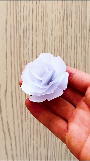 How To Make Round Tissue Paper Flower 🌸 | Easy DIY Handmade Paper Craft Tutorial Tissue Paper Flower Tutorial 🌸 | Learn how to make beautiful round handmade flowers step by step using tissue paper. This easy DIY paper craft is perfect for: ✔ Home decoration ✔ Parties & weddings ✔ School projects & kids craft With just a few sheets of tissue paper, you can create stunning, colorful flowers in minutes. This tutorial is simple, creative, and beginner-friendly — anyone can do it! ✨ 👉 Don’t forget
