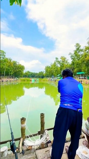 Catching Fish from Village Lake Using Gill Net #Shorts
