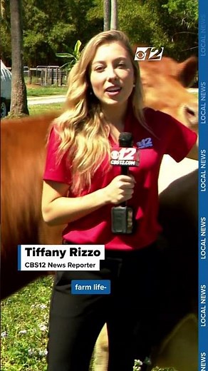 Local news blooper at farm