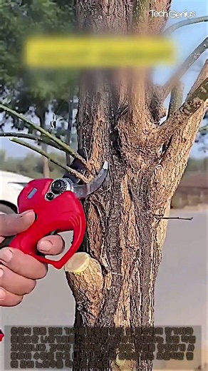 전동 전지 가위로 시원하게 나뭇가지 치는 방법 #worker #process #pruning #gardening #tools