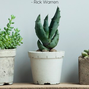 231K views · 10K reactions | Grow your groups and your church! The Small Group Network is small groups point people, pastors, and leaders. We're here for you! Founded by Saddleback Groups Pastor Steve Gladen | Small Group Network | Facebook