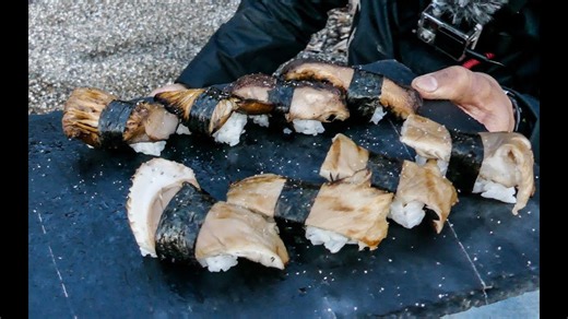 Mushroom hunting: What we really gathered