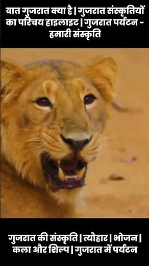 Discover Gujarat A Journey into the Vibrant Culture and Highlights | Traditions, Arts, & Festivities