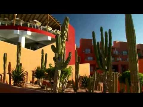 Club Regina Los Cabos - The Resort