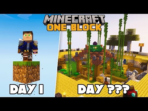 I Survived On One Block In Minecraft