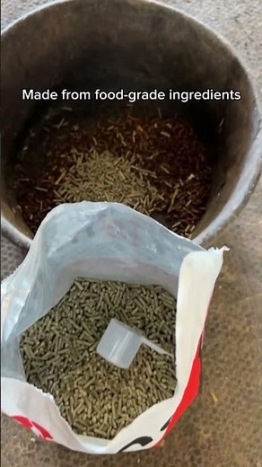 Keep your horse feeling their best with Mojo Equine Joint Supplement, available at FarmVet.com.