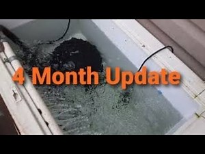 DIY CHEST FREEZER BAIT TANK UPDATE