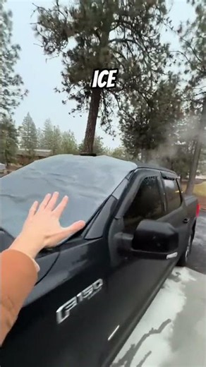 Dont freeze your kiester off - windsheild cover