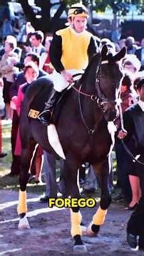 The Mighty Forego #shorts #horseracing