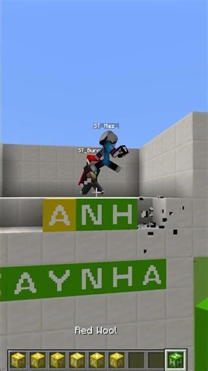 What is Bo Ne Em? Minecraft Guess the Word