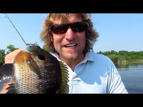 Fishing Spawning Bluegill on Beds