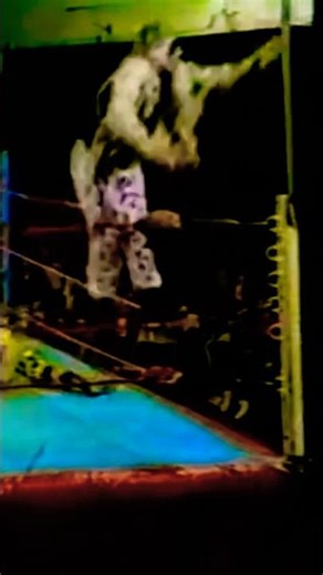 Art Barr (Beetlejuice) vs Scotty Flamingo #snippet #raven #wcw