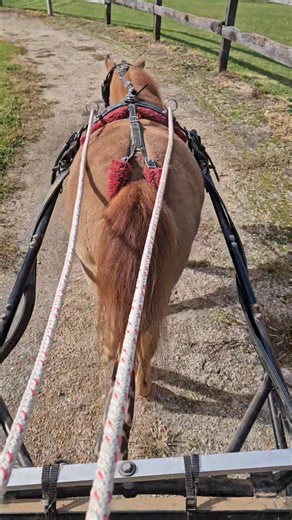 Its a beautiful day and Im so lucky to have my little Cherry to drive and enjoy! | Jamee L Golan-Bornstein