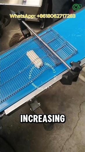 Spring Roll Production Line | Rice Roll Production | Lumpia Production Line | Popiah Making Machine