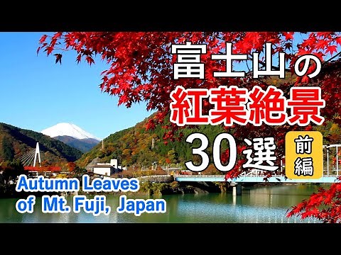 Top 30 best views of Mt. Fuji & Autumn Leaves Part 1 / Lake Kawaguchi, Lake Tanzawa, Hakone, etc.