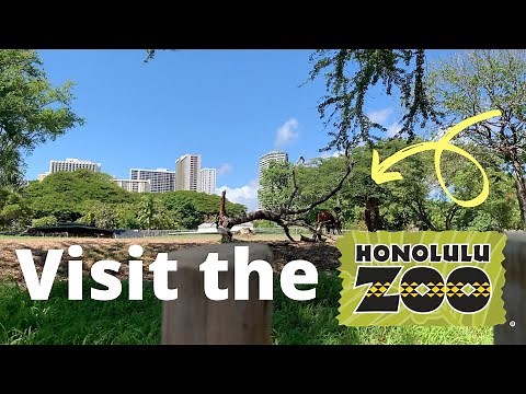 How to VISIT THE HONOLULU ZOO | OAHU