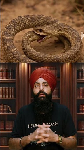 Snake vs Snake: What Happens When Venomous Snakes Bite Each Other? 🐍#SnakeVsSnake #VenomousSnakes