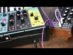 Moog Matriarch + Moog DFAM | Demo