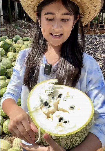 Así se extrae la semilla de la pachayota. #semillas #cosecha #nikiss #viral #fyp