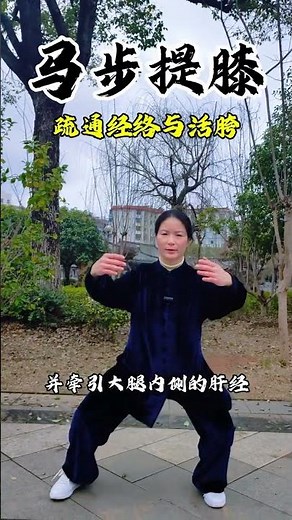 Master Tai Chi: Essential Horse Stance & Knee Lift - Perfect for Seniors