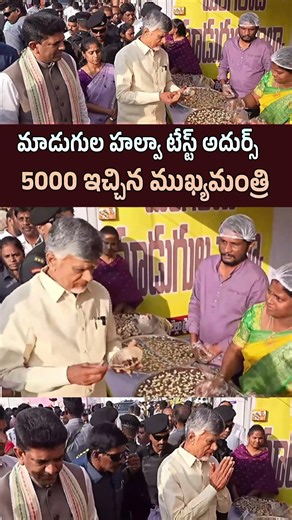 మాడుగుల హల్వా టేస్ట్ అదుర్స్.. 5000 ఇచ్చిన ముఖ్యమంత్రి | CM Chandrababu Naidu #SARASMela2026