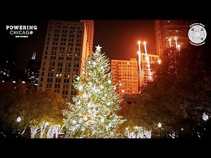 How IBEW Local 134 Electricians Lit Chicago's 68-Foot Christmas Tree | McWilliams Electric