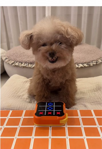 더 귀여운 강아지와의 틱택토 게임!