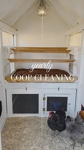 29K views · 4.3K reactions | Here is the biggest coop clean out of...