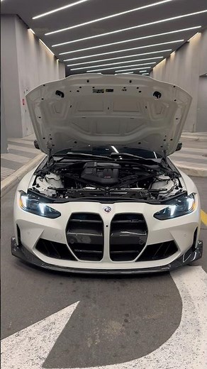 ❄️ 🐰 needs some wheels…