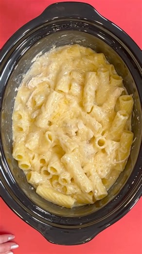 Easy One Pot Pasta | Southern Fried Cookin'