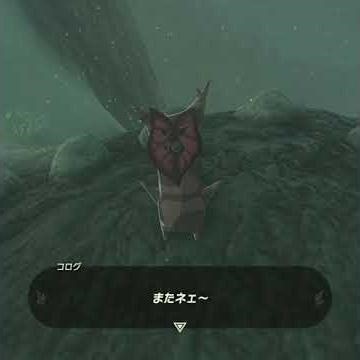 【ティアキン】ウォルナット山のコログ ゼルダの伝説ティアーズ オブ ザ キングダム #ゼルダの伝説 #ティアキン #zelda #shorts