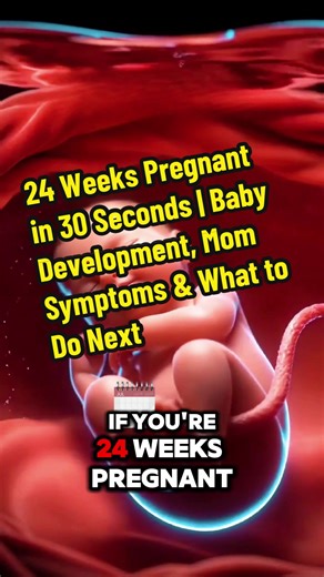 Week 24: lungs brain growing fast, and your body’s feeling it. Save this for your next appointment and comment your week. #24weekspregnant #pregnancyweek24 #pregnancyweekbyweek #secondtrimester #pregnancytok