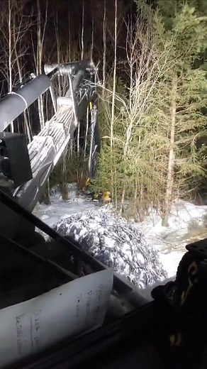 Sped up customer video of TMK 250 Tree Shear on a Prosilva harvester working in Finnish woods! Kiitos MTY Leikas videosta! | TMK Machinery