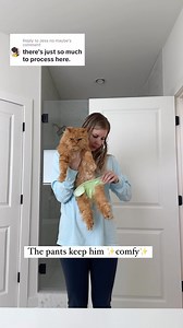 Paresis: a condition of muscular weakness caused by nerve damage 🐱 #disabledcat #paresis #caregiver #intro | Katie Beth Miedaner