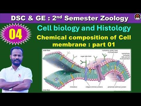 DSC 2nd sem : Zoology 04: Unit 01 : Chemical composition of plasma membrane : by Anand sir