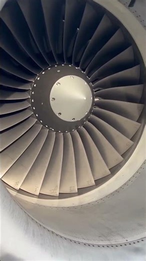 Aircraft Maintenance Delay on My LAST Flight | Ramp Life Maintenance Delay on Final Flight