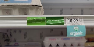 Egg shortage causes increase in demand and rise in costs,  consumers affected